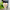 collections/C09FE45E-5DAD-4800-B811-ED40E3183F2E.jpg