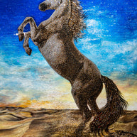 LILY - Horse