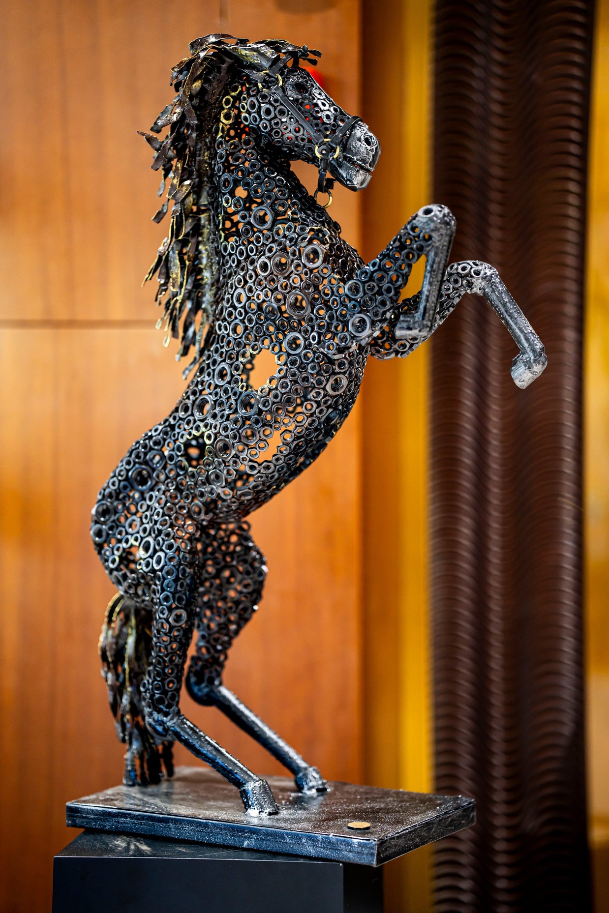 ARUN - Standing Horse