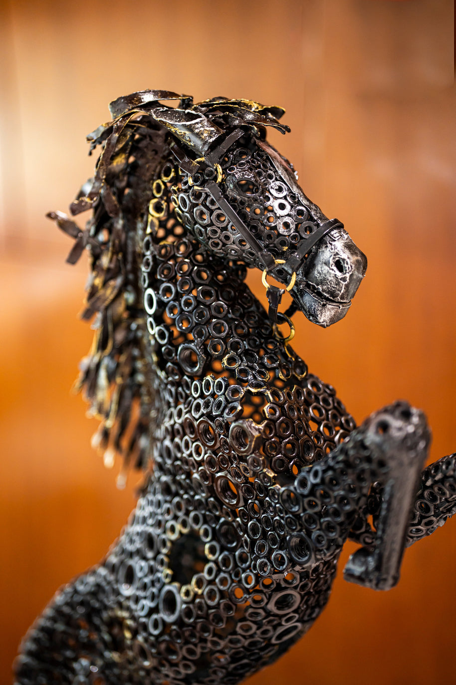 ARUN - Standing Horse