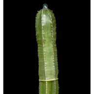 ARNO BANI - “Condom”, Cactus Party, 2017