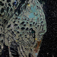 LILY - Wild Leopard New