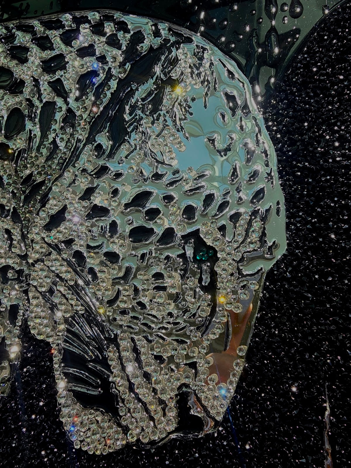 LILY - Wild Leopard New