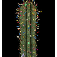 ARNO BANI  - “Navidad”, Cactus Story, 2017