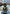 MHS - Black Mario, Bitcoin Tribute 2025