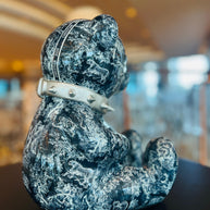 NAOR - 30cm CD Tribute, Black Hologram Bear