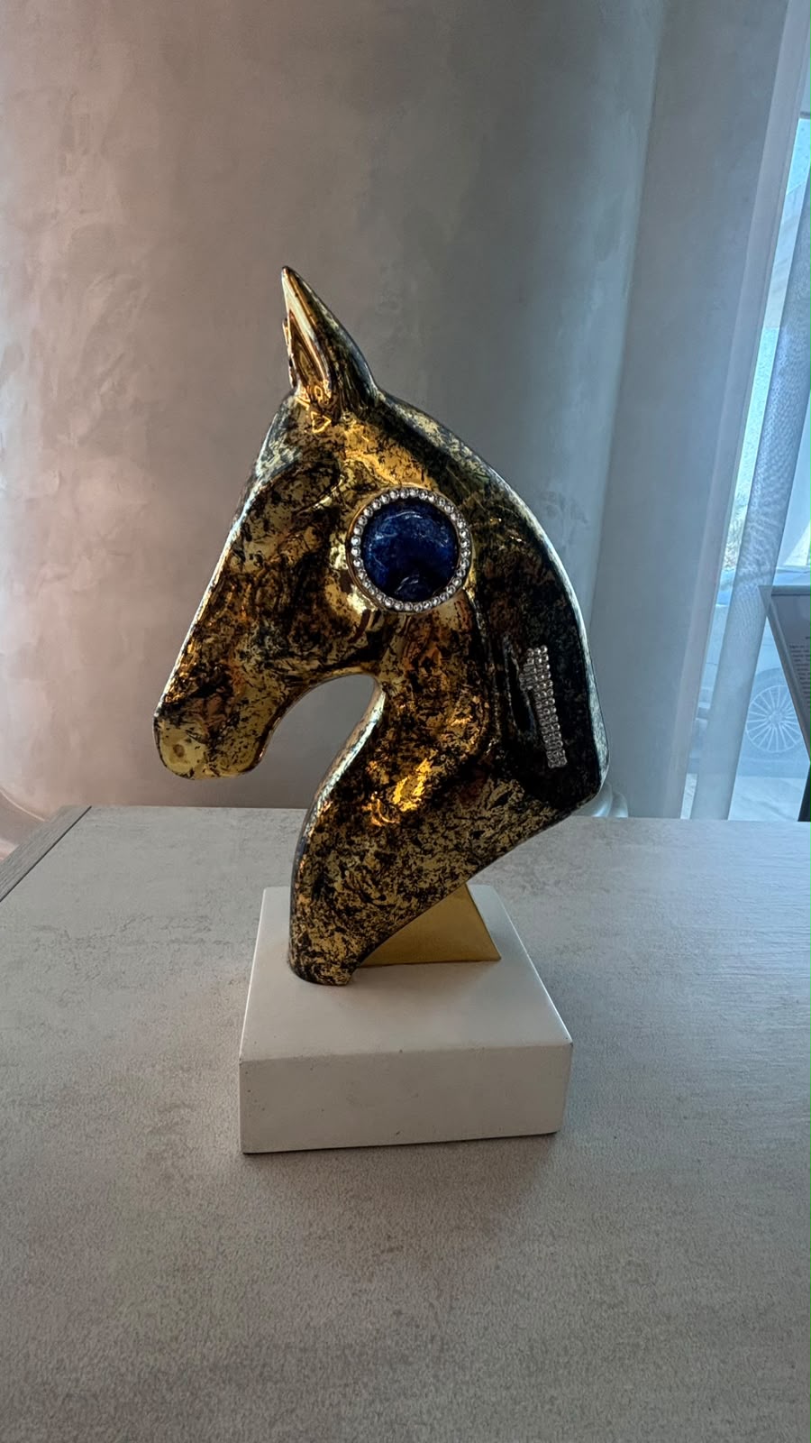 CYRIL B - Obsidian Gold Sport Horse