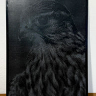 ANNA - Falcon Tribute