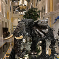 ARUN - Big Elephant