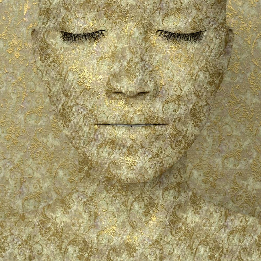 GRÉGOIRE A MEYER - Camouflage 2