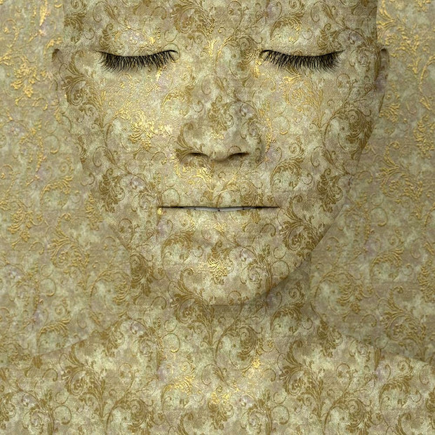 GRÉGOIRE A MEYER - Camouflage 2
