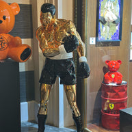 SANUJ - Knockout Muhammad Ali tribute
