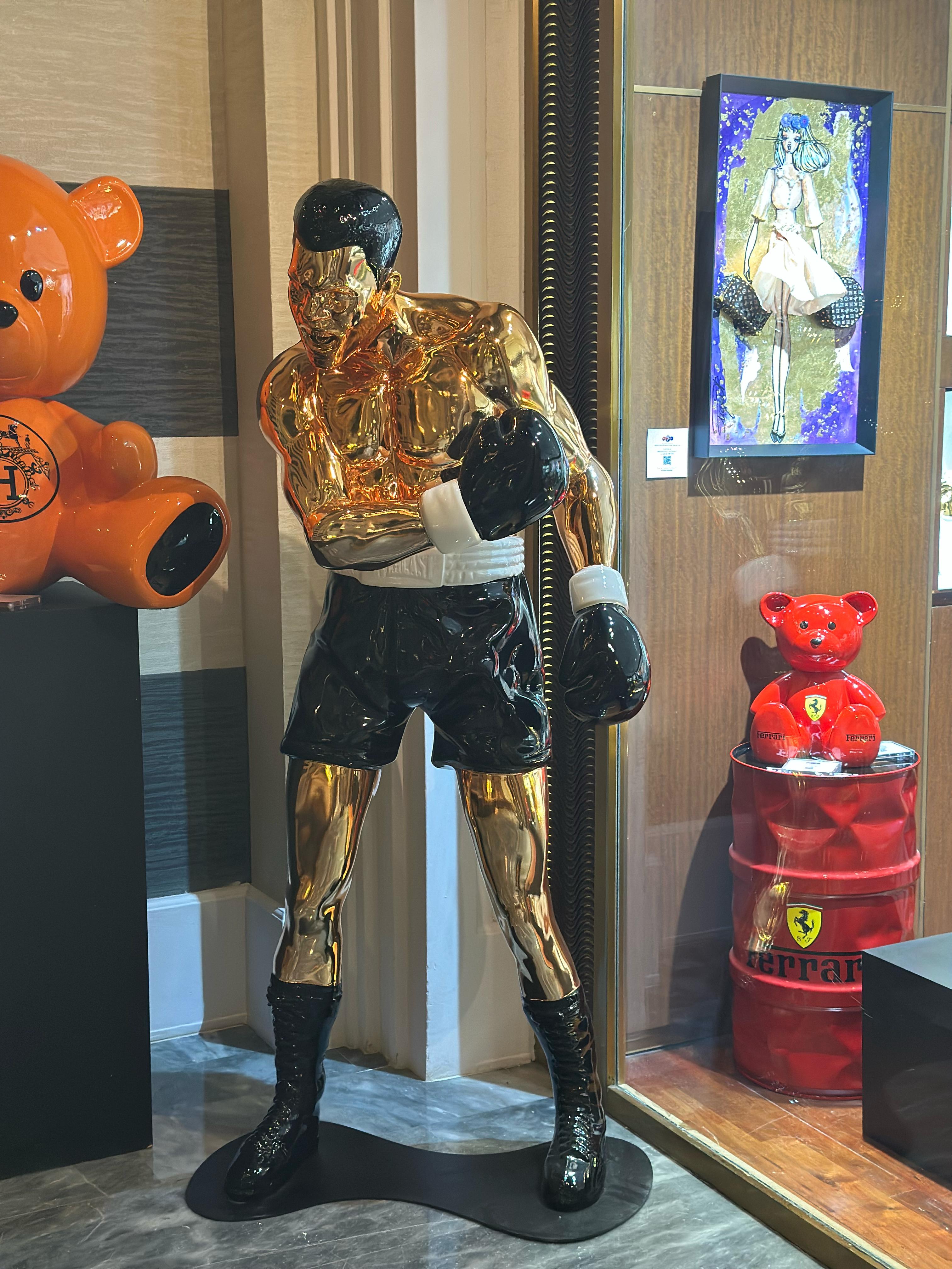 SANUJ - Knockout Muhammad Ali tribute