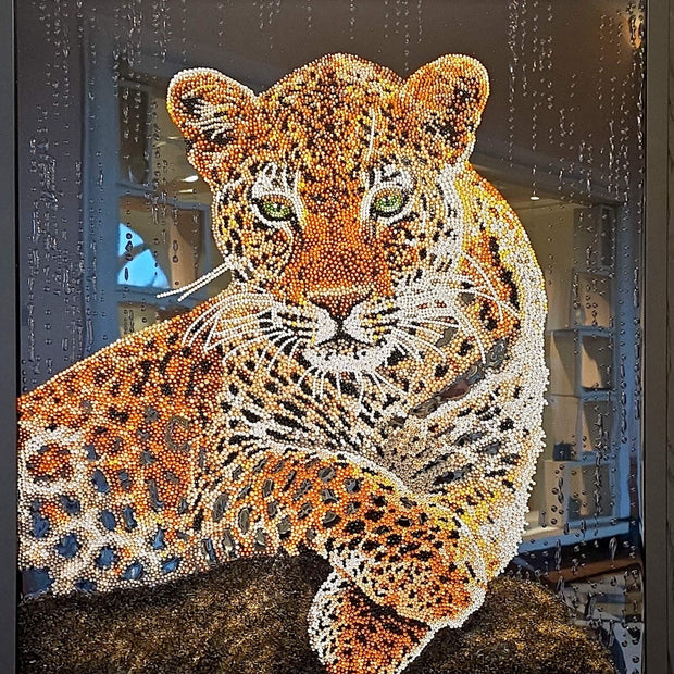 LILY - Laying Leopard