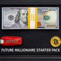 TINA S - Future millionaire starter pack