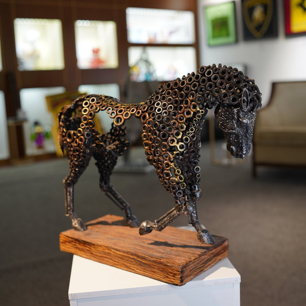 ARUN - Walking Horse