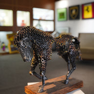 ARUN - Walking Horse