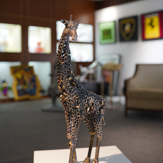 ARUN - Giraffe