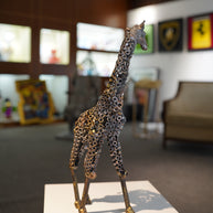 ARUN - Giraffe