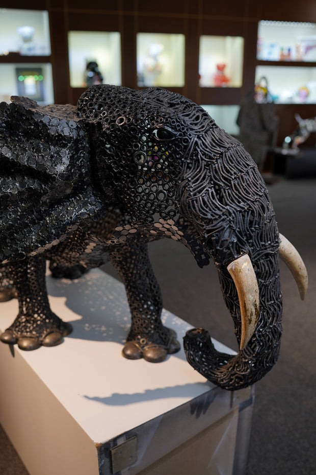 ARUN - Big Elephant