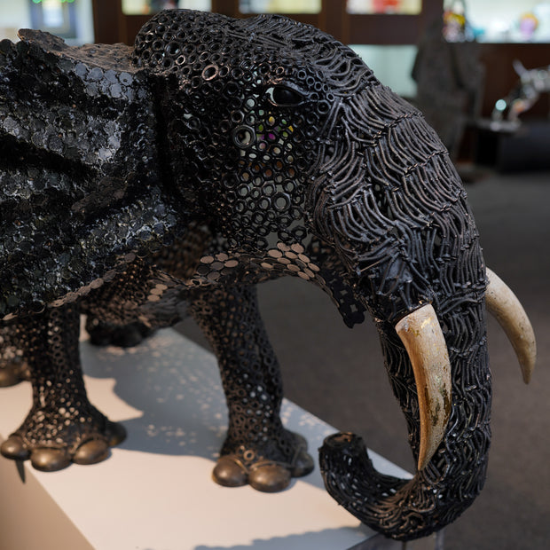 ARUN - Big Elephant
