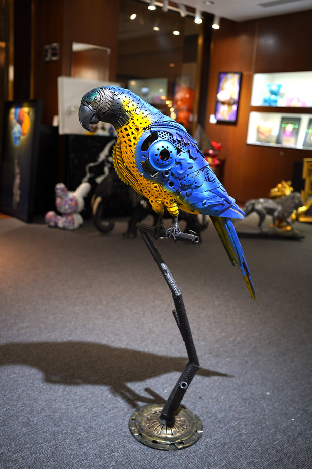 ARUN - Parrot