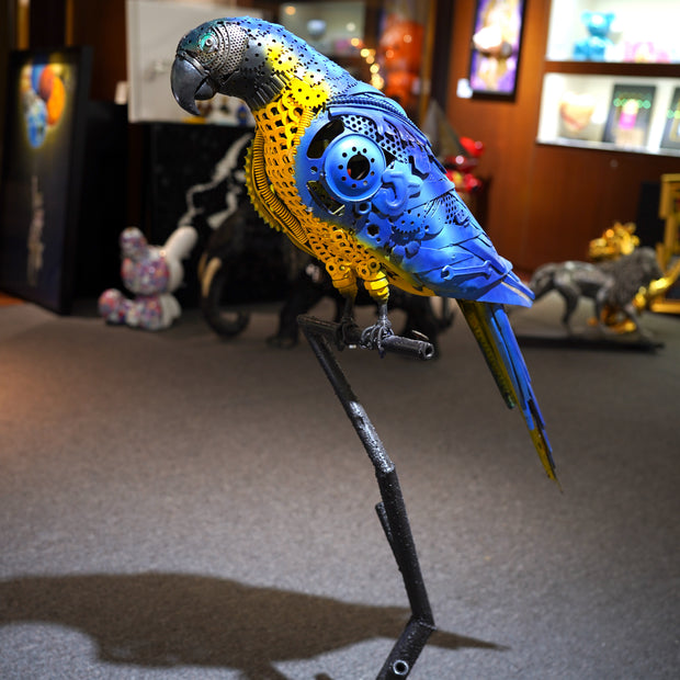 ARUN - Parrot