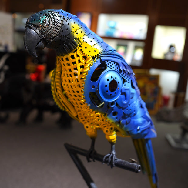 ARUN - Parrot