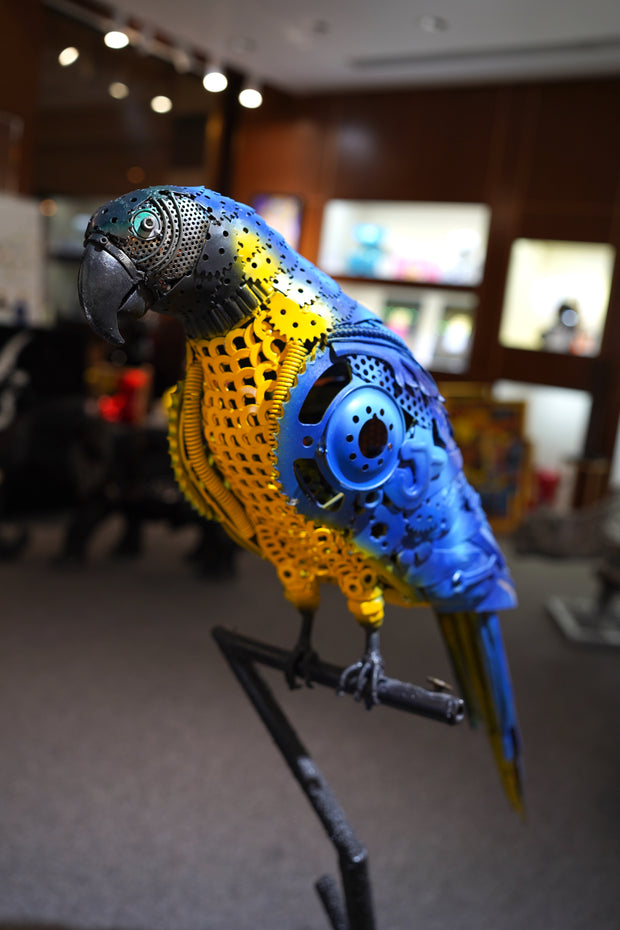 ARUN - Parrot