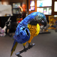 ARUN - Parrot