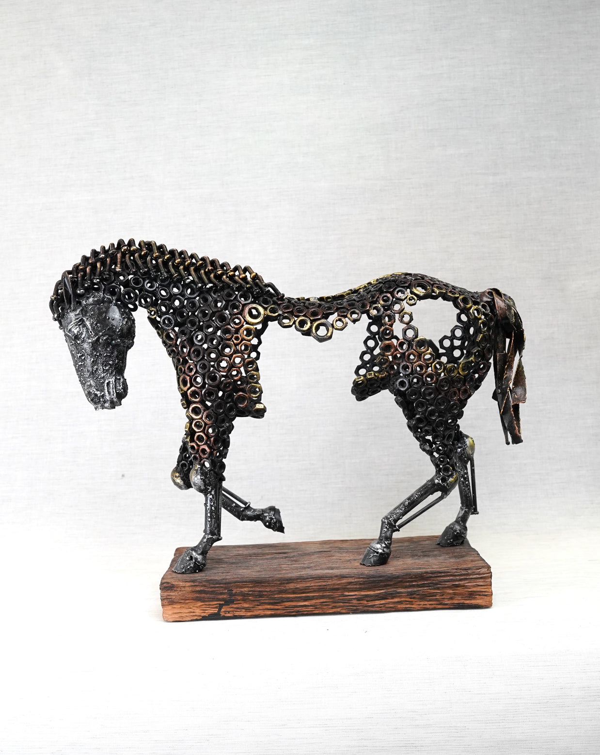 ARUN - Walking Horse