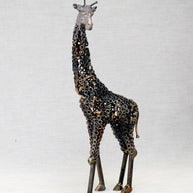 ARUN - Giraffe