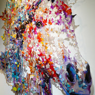 BARAK& MIRI - Free Spirit Horse