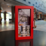 SASHIRY - In case of emergency, dollars