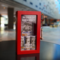 SASHIRY - In case of emergency, dollars