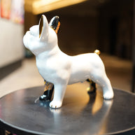 ARDOR - Small Bulldog, Brown Design