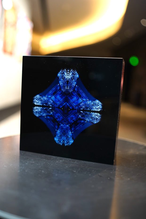 WINNIE DENKER - Diamond Eiffel Tower, Blue Light Box