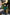 NAOR - 45cm Standing Picsou - Uncle Scrooge
