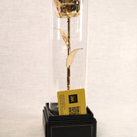 ETERNAL LOVE - Eternal Rose standing