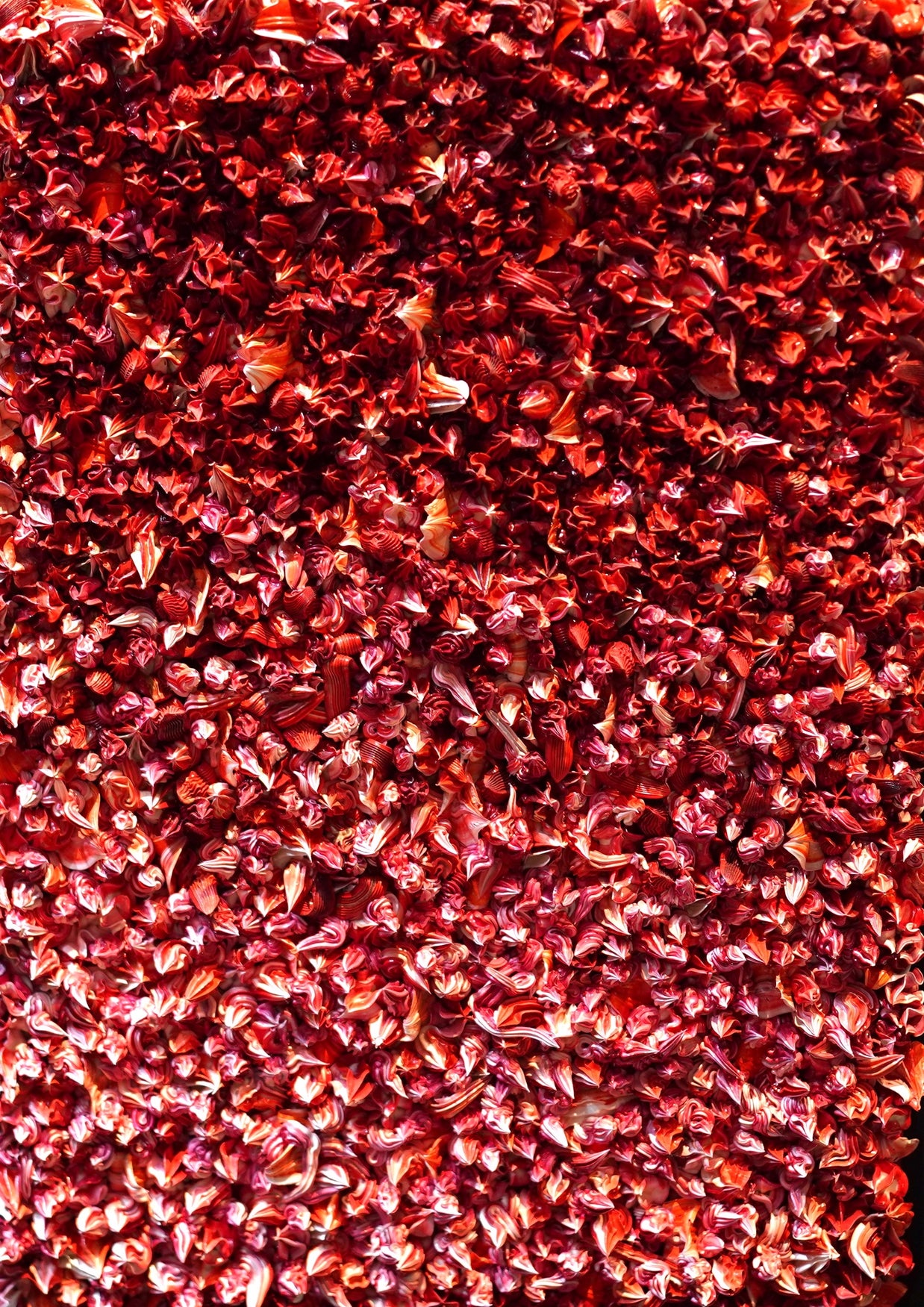 CHRISTOPHE SOLA - 50 Shades of Red