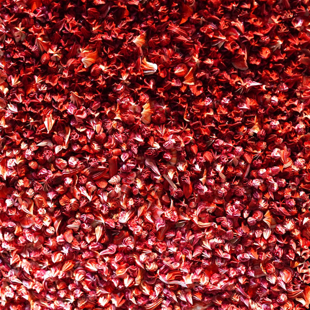 CHRISTOPHE SOLA - 50 Shades of Red