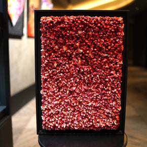 CHRISTOPHE SOLA - 50 Shades of Red