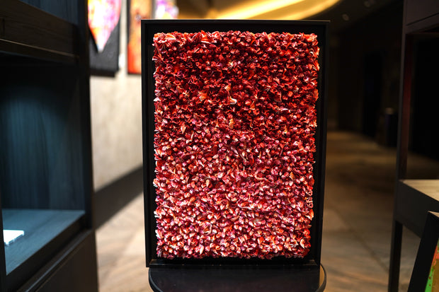CHRISTOPHE SOLA - 50 Shades of Red