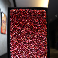 CHRISTOPHE SOLA - 50 Shades of Red