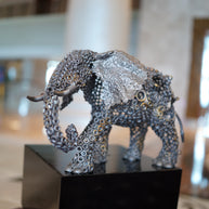 ARUN - Elephant