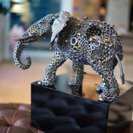 ARUN - Elephant