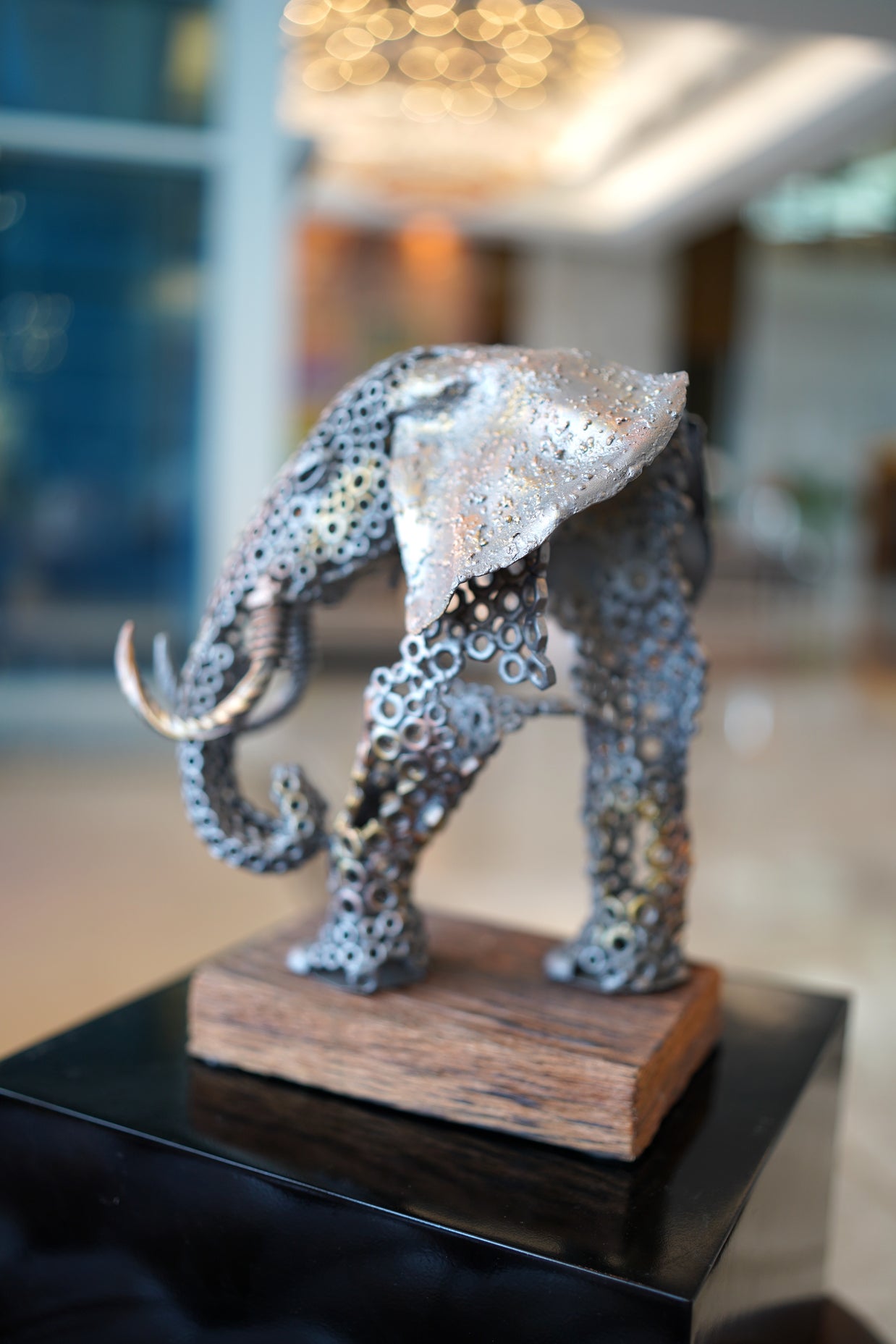 ARUN - Elephant Chest