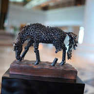 ARUN - Small Horse
