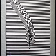 RAAMJI SHARMA - Folded Zebra