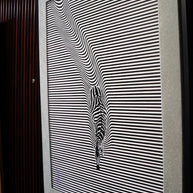 RAAMJI SHARMA - Folded Zebra